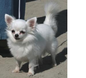 Thumbnail Placeholder